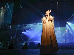 piosenkarka na koncercie