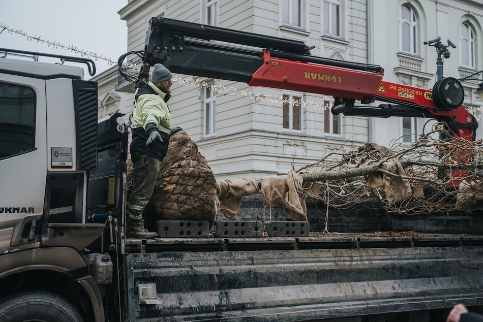 Łódź. Zielona metamorfoza Piotrkowskiej!