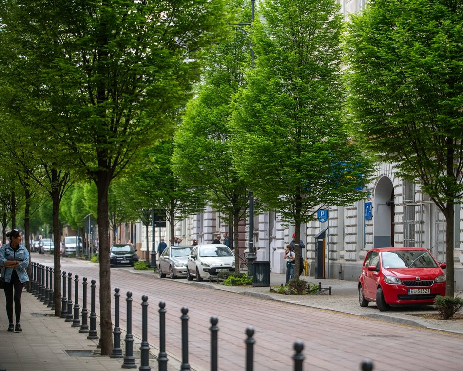 Łódź. Łódź weszła w lato na zielono! Tysiące nowych drzew, kwiaty i trawniki