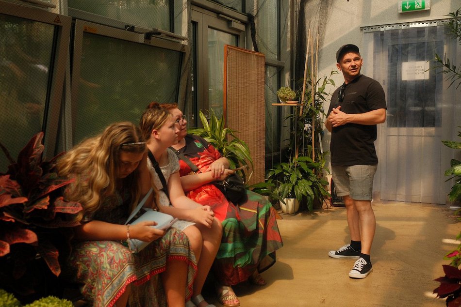 Łódź. Motyle z tropików na długi weekend. Kolorowa wystawa w Palmiarni