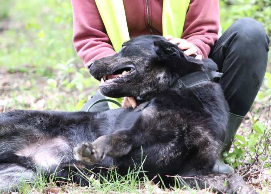 Uchyl serca Edkowi ze schroniska w Łodzi. Doskwiera mu samotność