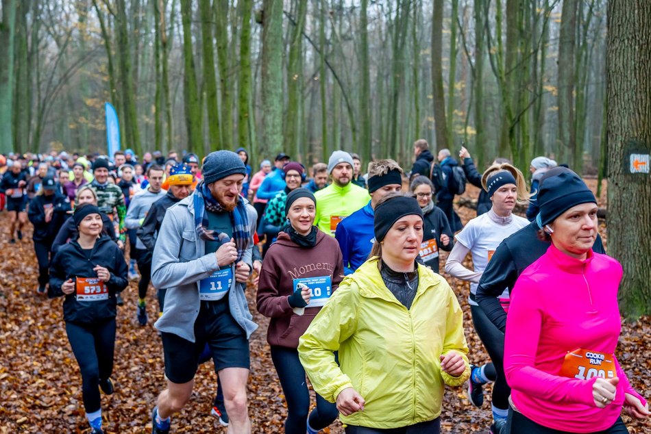 Cookie Run w Lesie Łagiewnickim w Łodzi