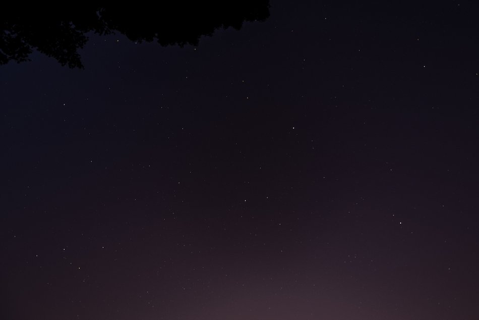 Łódź. Co to był za wieczór! Noc spadających gwiazd w Ogrodzie Botanicznym w Łodzi