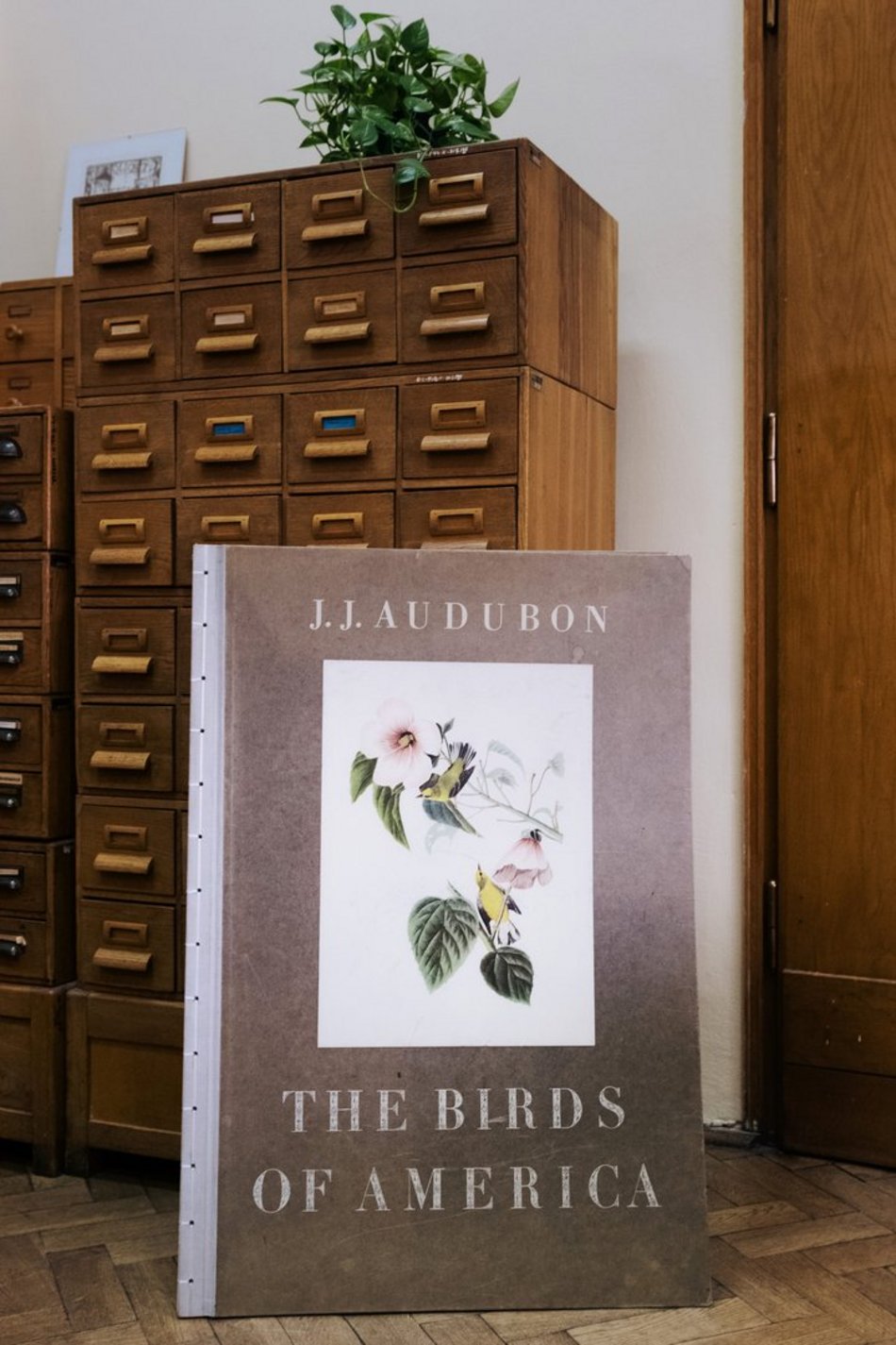 Od liliputka do giganta. Wyjątkowe książki z Biblioteki Uniwersytetu Łódzkiego