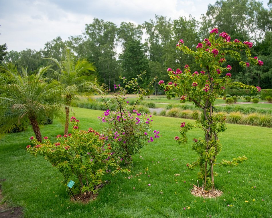 Ogród Fabrykanta w Ogrodzie Botanicznym w Łodzi