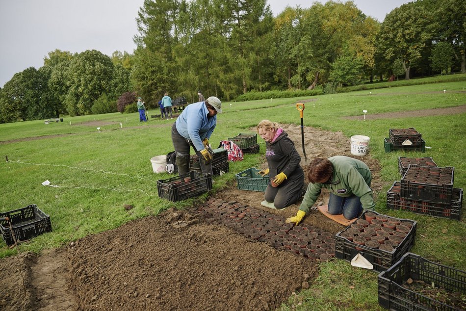 Wielkie sadzenie w Ogrodzie Botanicznym w Łodzi