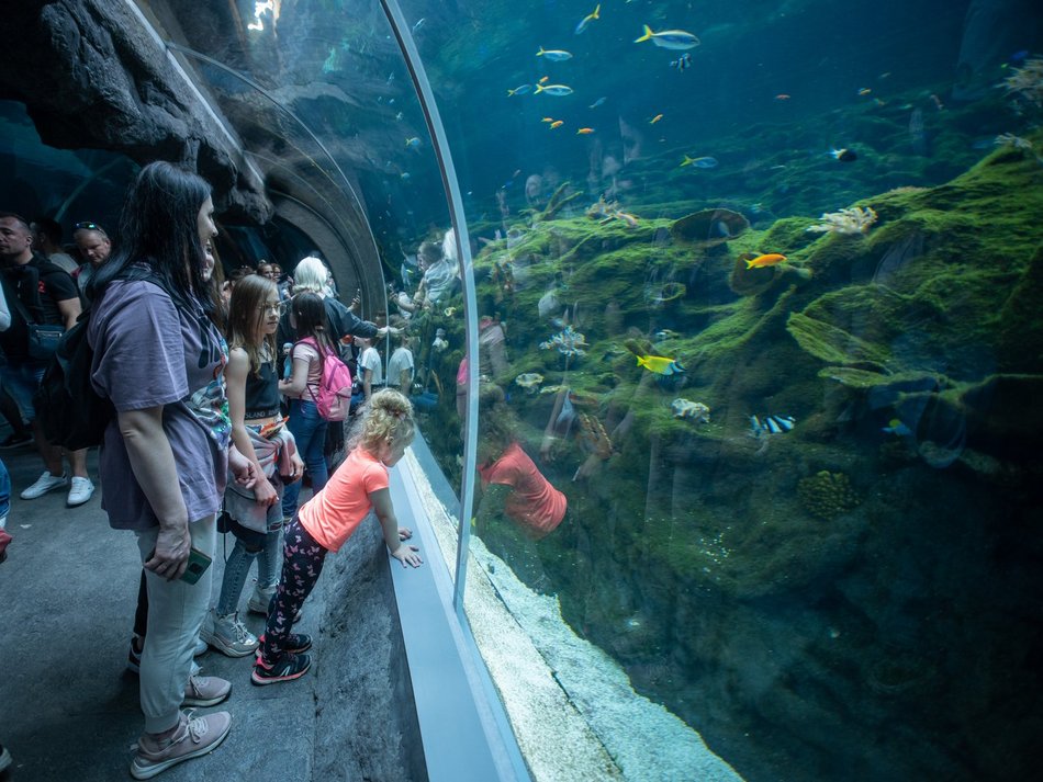 Orientarium Zoo Łódź z okazji Dnia Kobiet. Specjalny szlak edukacyjny potrwa aż do niedzieli