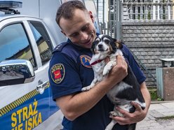 8. urodziny Animal Patrol w Łodzi. Zaczipuj swojego zwierzaka za darmo na pikniku!