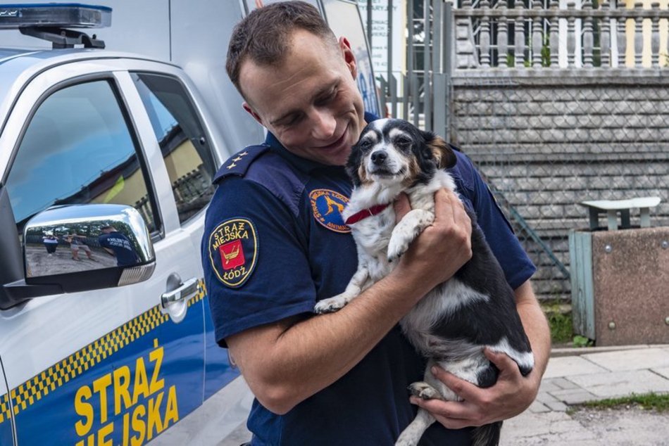 8. urodziny Animal Patrol w Łodzi. Zaczipuj swojego zwierzaka za darmo na pikniku!