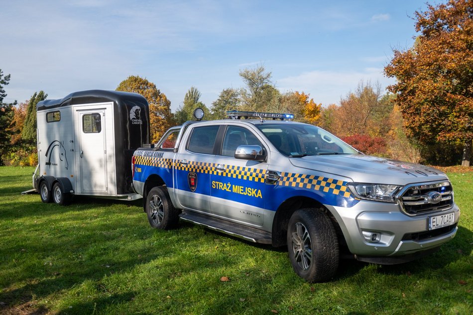 Straż Miejska w Łodzi ma nowego konia