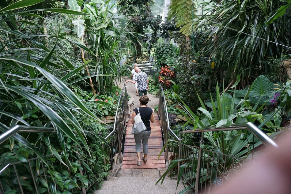 Sposoby na spędzanie walentynek w Łodzi