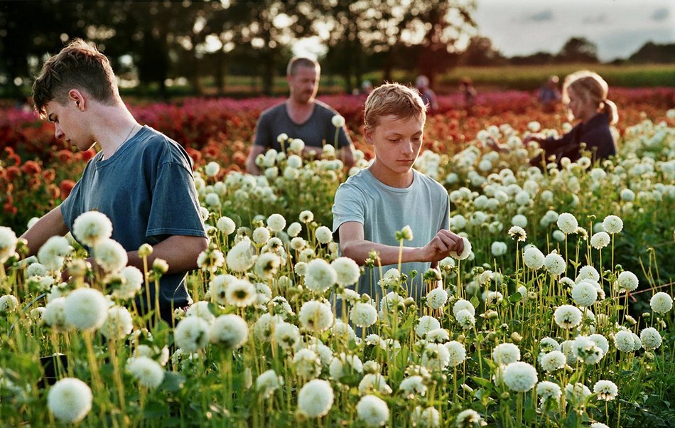 [Translate to Ukraiński:] blisko 