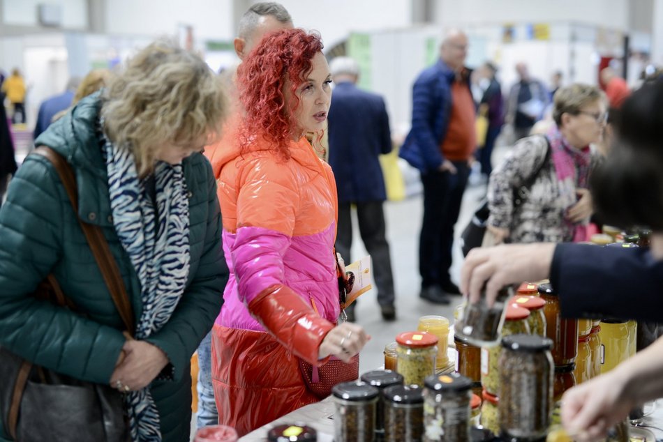 Festiwalu Zdrowia, Wróżb i Niezwykłości w Łodzi