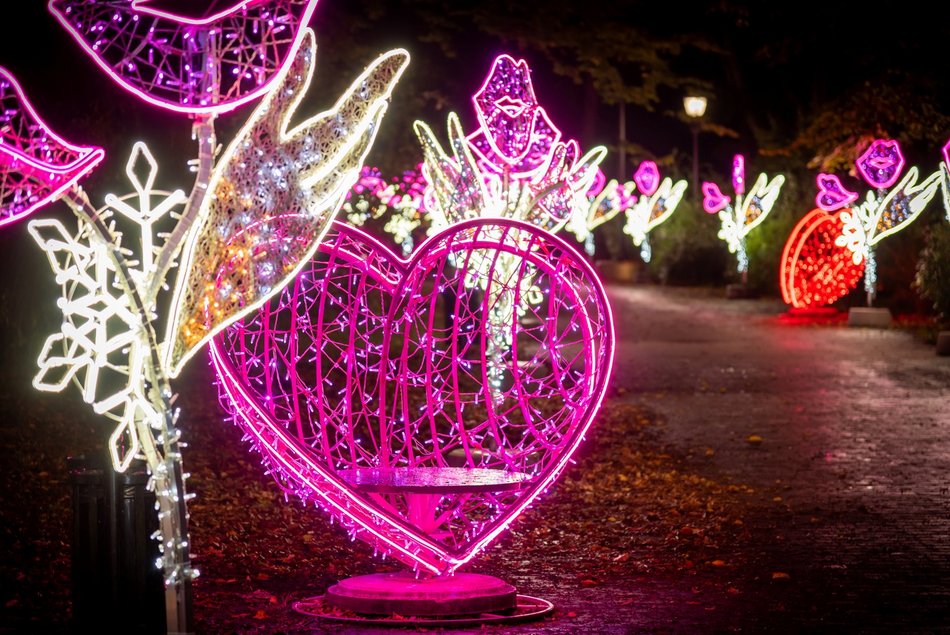 park pięknie oświetlony nocą