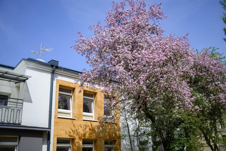 Łódź. Centrum Pomocy Psychiatrycznej dla Młodzieży w Łodzi po remoncie. Co za efekty!