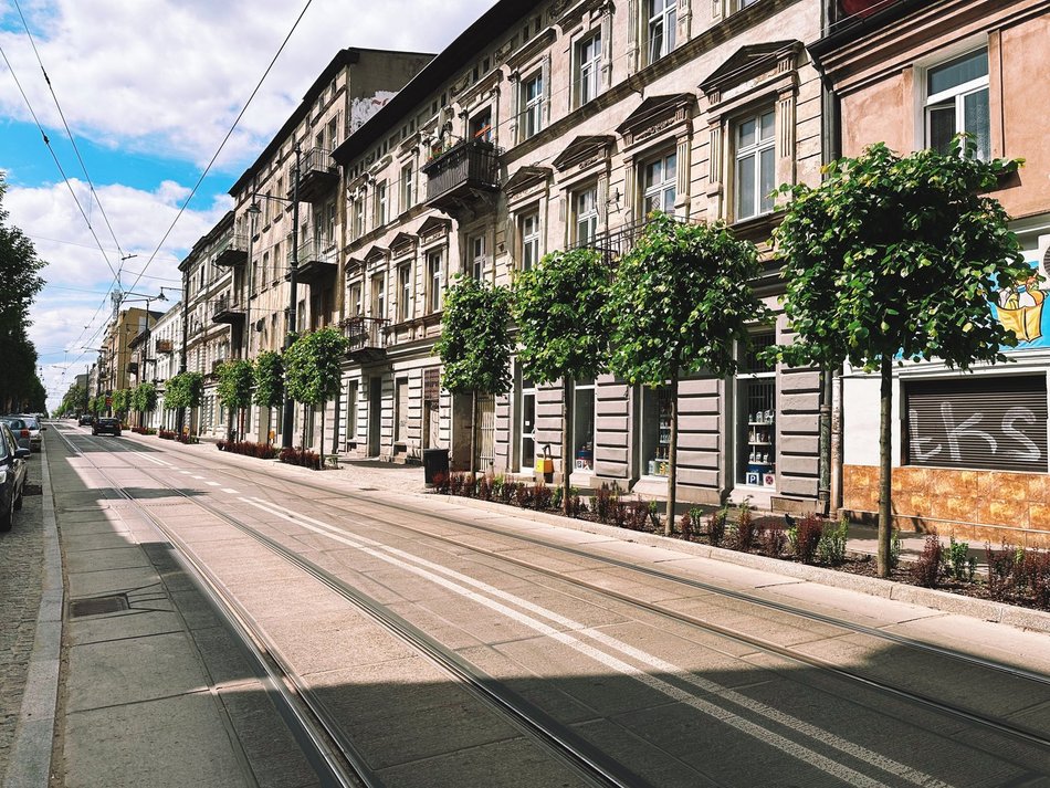 Łódź, ul. Legionów, drzewa