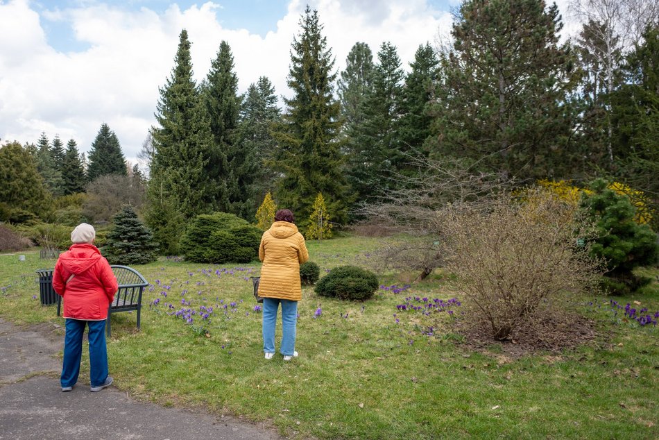 Wiosenny Ogród Botaniczny w Łodzi. Spacer wśród budzącej się do życia przyrody