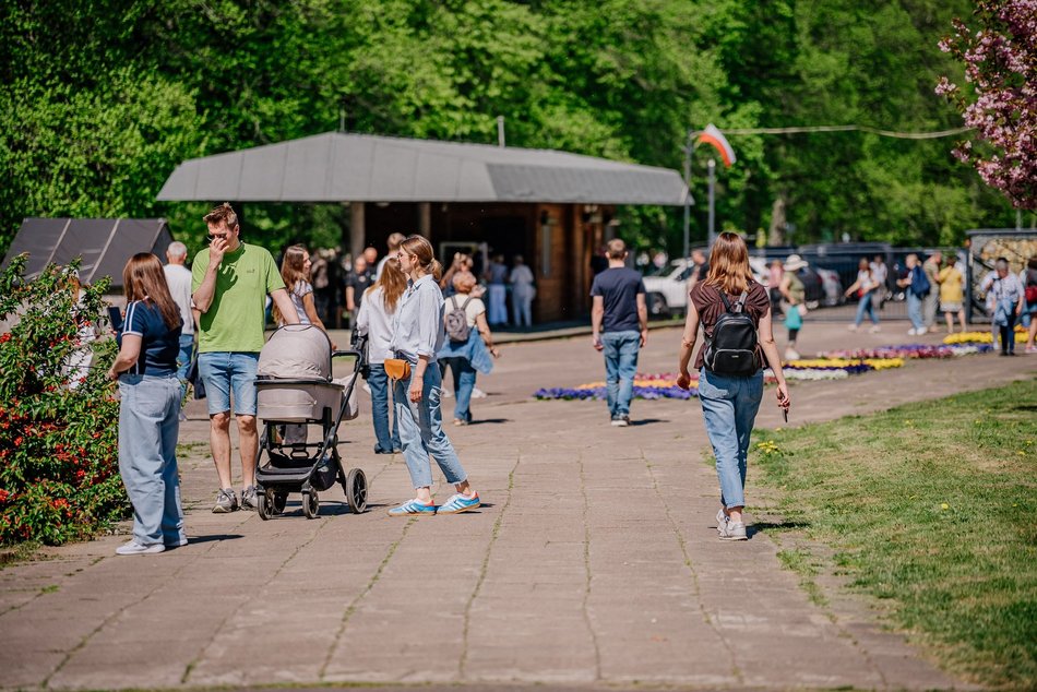 Łódź. Ogród Botaniczny w Łodzi w wiosennej odsłonie