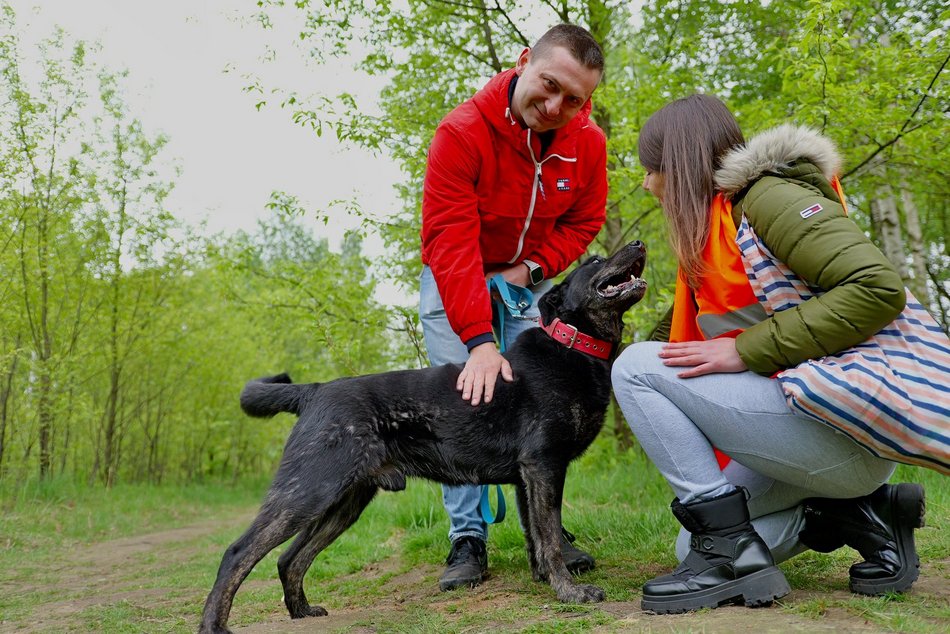 Łódź. Psy ze schroniska w Łodzi na spacerze z Łodzianami! Akcja "WYBIEGAJsŁODZIAKA" ma moc!