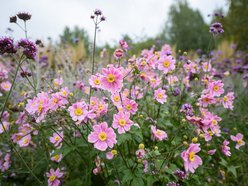 Odkryj nowy plac zabaw na Złotnie w Łodzi. Powstał w stylu naturalnych bawialni