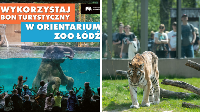 Orientarium Zoo Łódź z bonem turystycznym. Bilety kupione w marcu ważne do końca roku