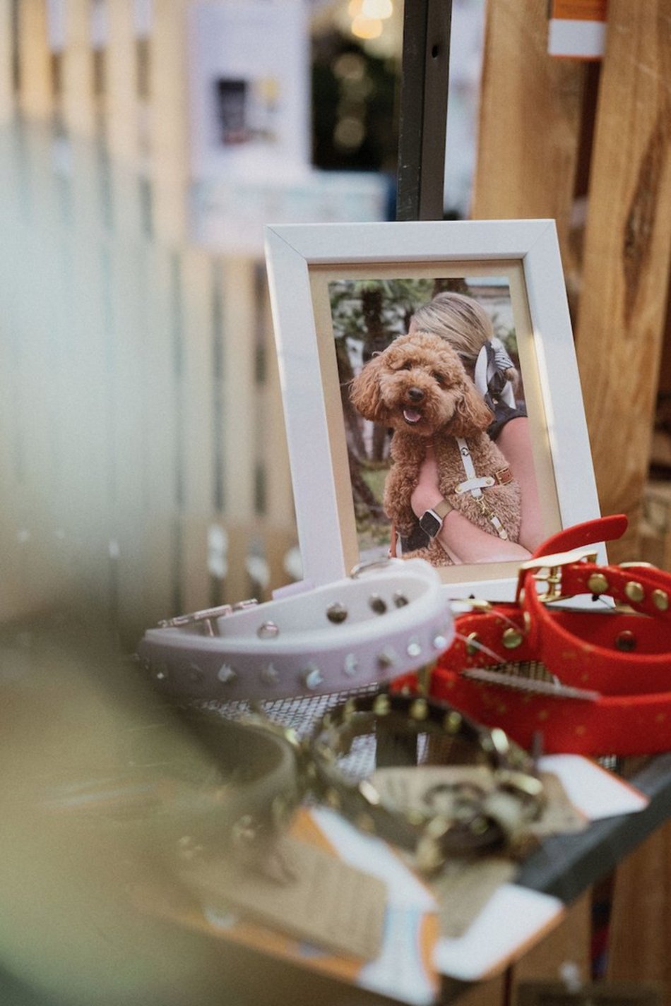 Łódź. Psi Targ w Manufakturze