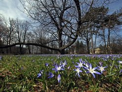 Park Klepacza w Łodzi