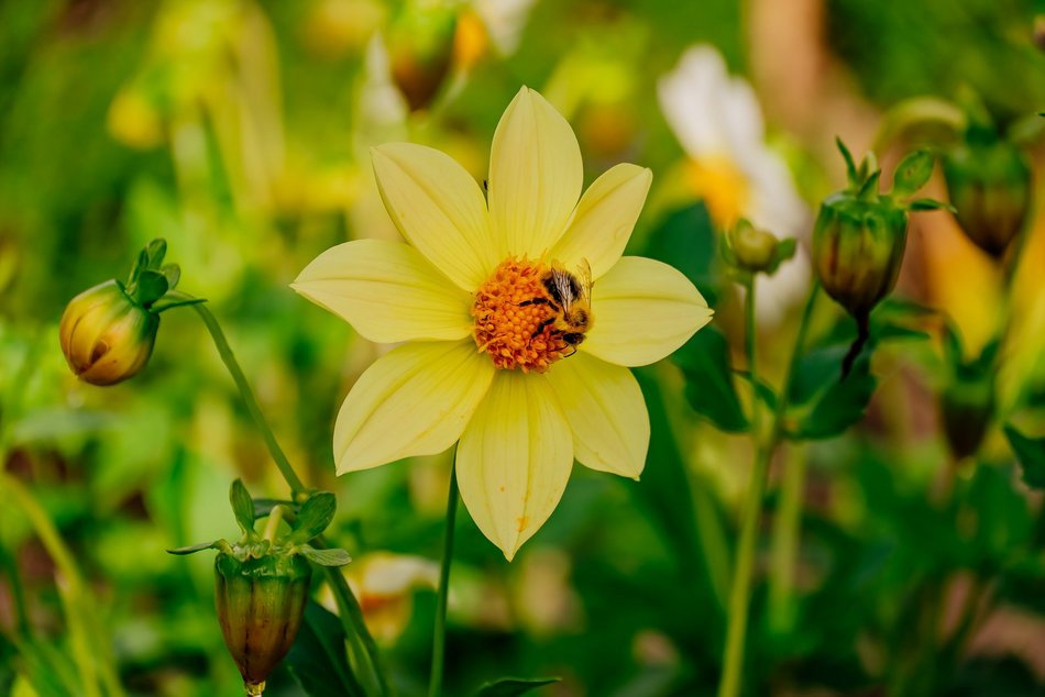 Łódź. Ogród Botaniczny w Łodzi