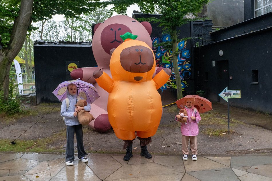 Łódź. Zlot Fanów Kapibary w Orientarium Zoo Łódź. Świetna frekwencja mimo niepogody