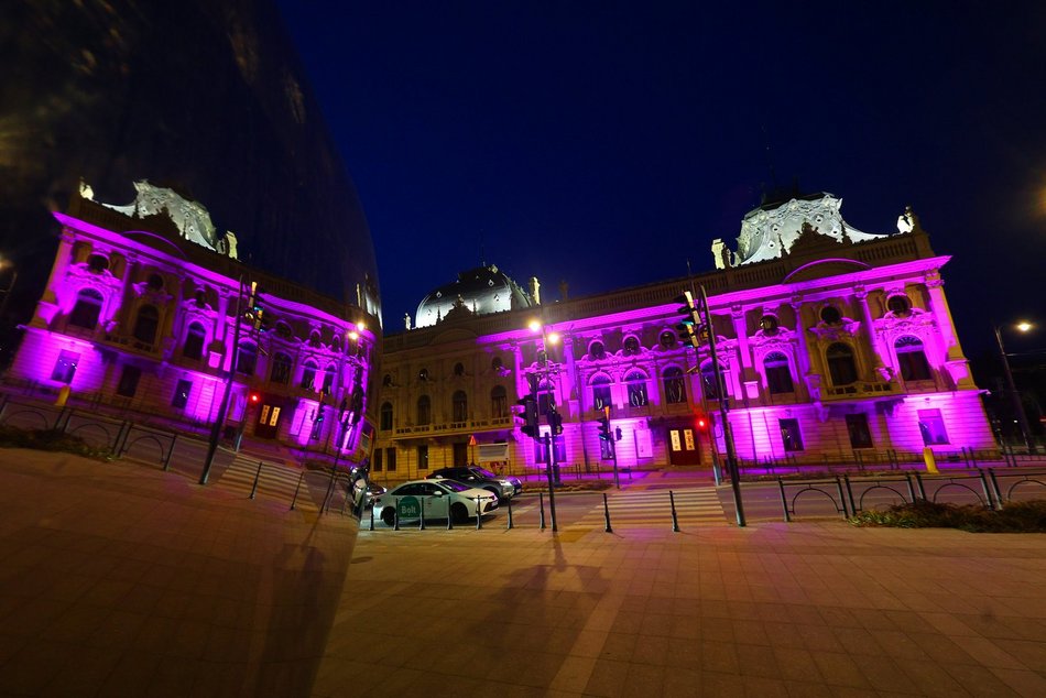 Łódź. Międzynarodowy Dzień Epilepsji w Łodzi. Pałac Poznańskich w lawendowych barwach