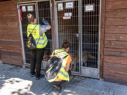 Wielka inwestycja w schronisku w Łodzi. Nowy teren, kojce i przestrzeń edukacyjna