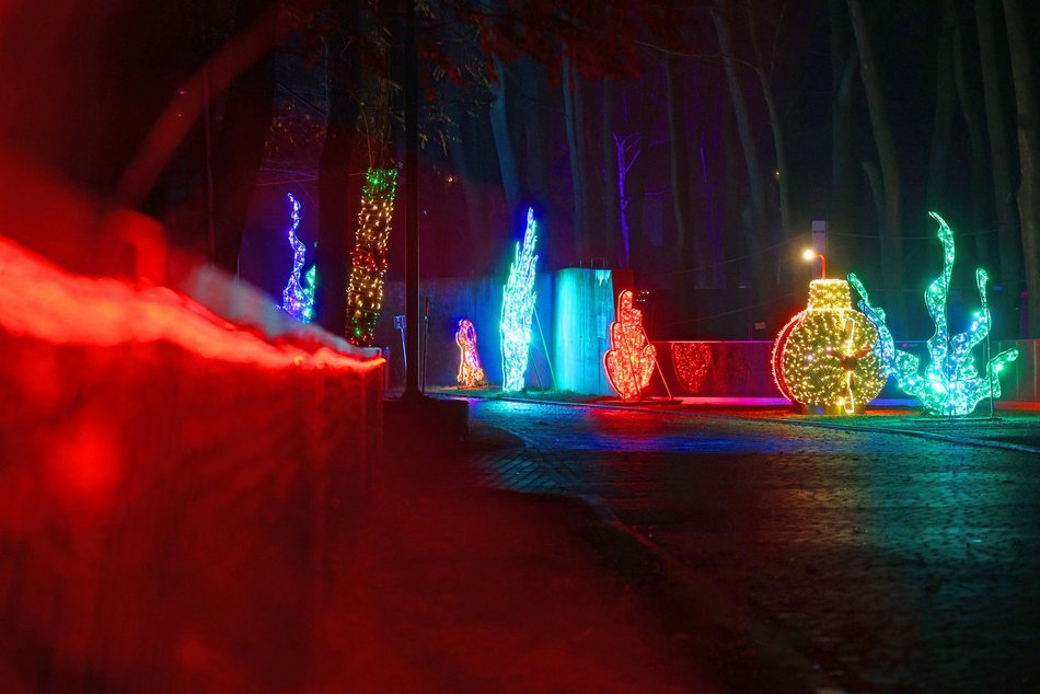 Park Miliona Świateł w Orientarium Zoo Łódź
