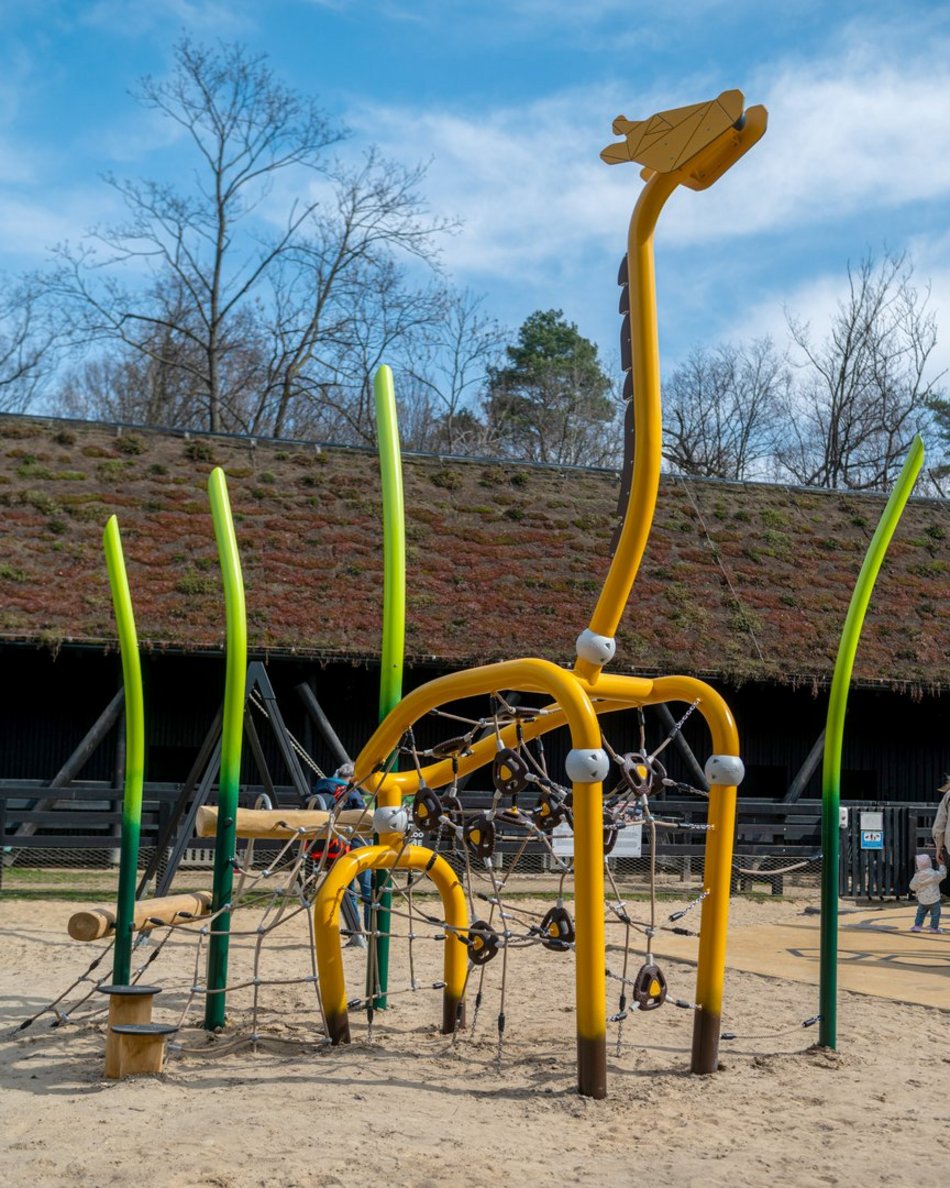 Łódź. Nowa żyrafa w Orientarium Zoo Łódź. Musisz ją poznać!