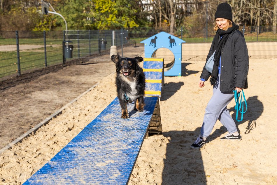 Nowy psi park w Łodzi! Podzielony na dwie strefy – do treningu agility i do zabawy