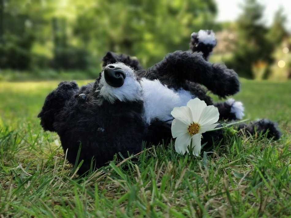 Elkapentelka - szydełkowe portrety zwierząt