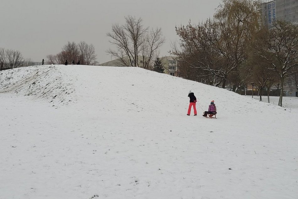 Łódź. Gdzie na sanki