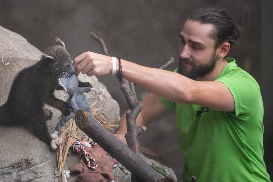 Łódź. Co robić w weekend w Łodzi?