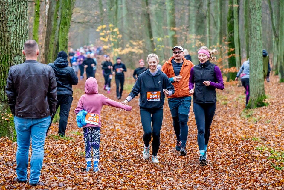 Cookie Run w Lesie Łagiewnickim w Łodzi