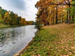 Las Łagiewnicki w Łodzi jesienią