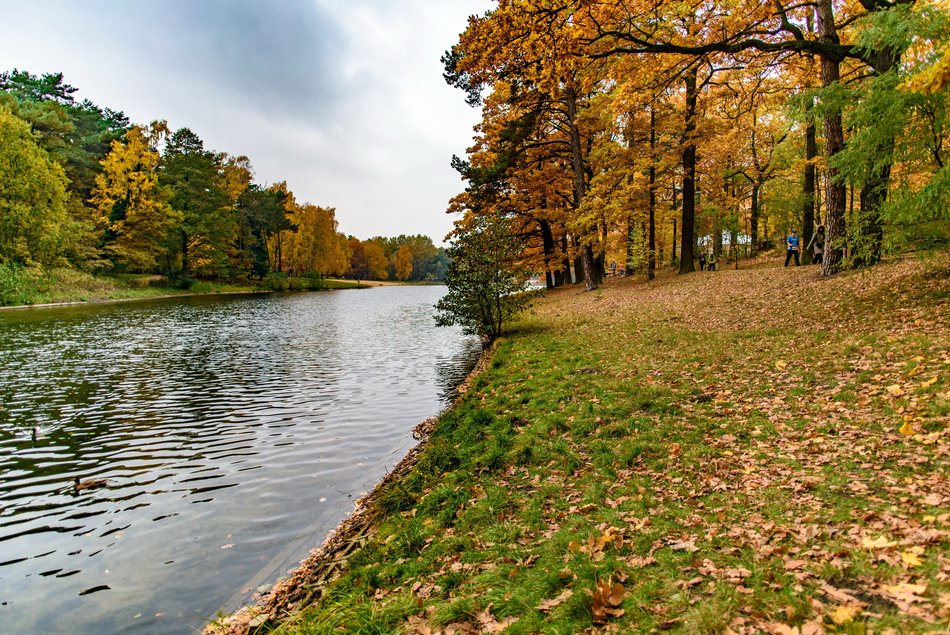 Las Łagiewnicki w Łodzi jesienią