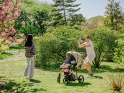 Łódź. Ogród Botaniczny w Łodzi w wiosennej odsłonie