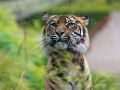 Łódź. Maj w Orientarium Zoo Łódź. Baby boom, motyle i nowi mieszkańcy