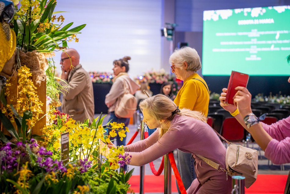 Łódź. World Flower Show w hali Expo Łódź. Przyjdź i zobacz orchidee, drzewa bonsai i sukulenty