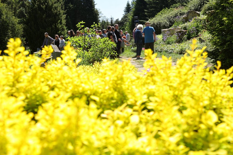 Ogród Botaniczny w Łodzi. Kwitnące rośliny