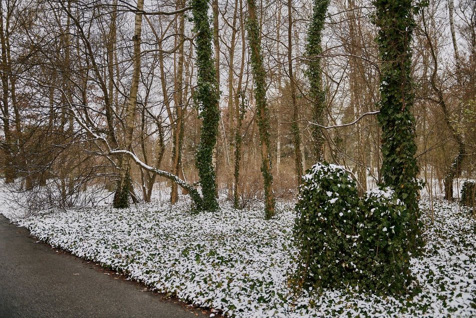 fot. Radosław Jóźwiak