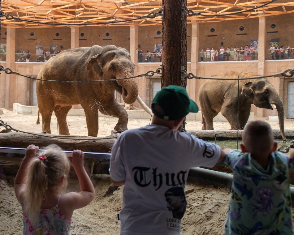 601. Urodziny Łodzi w Orientarium Zoo Łódź