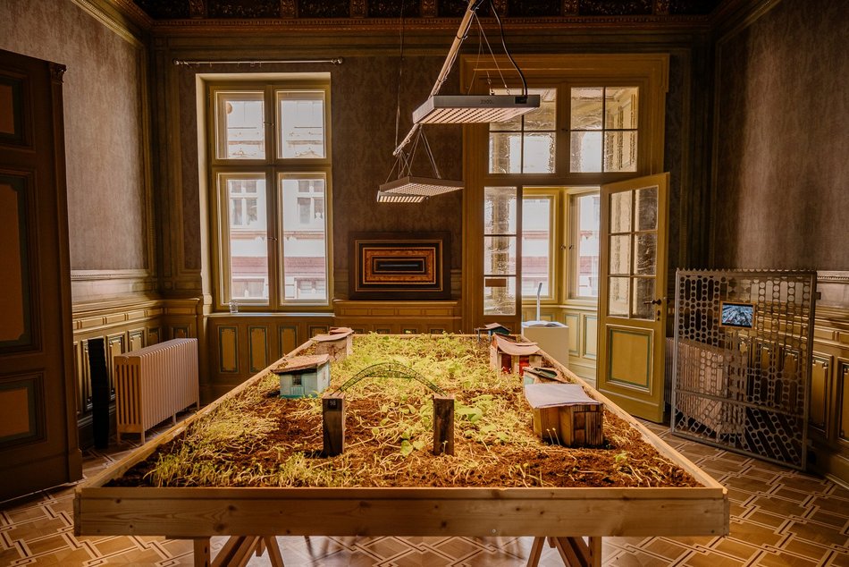 Willa Hilarego Majewskiego jedną z największych perełek rewitalizacji