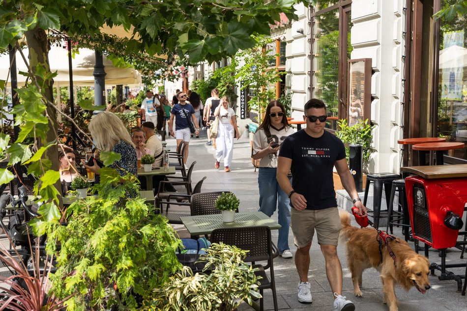 Łódź. Pierwszy sierpniowy weekend na Piotrkowskiej. Tłumy łodzian i turystów!