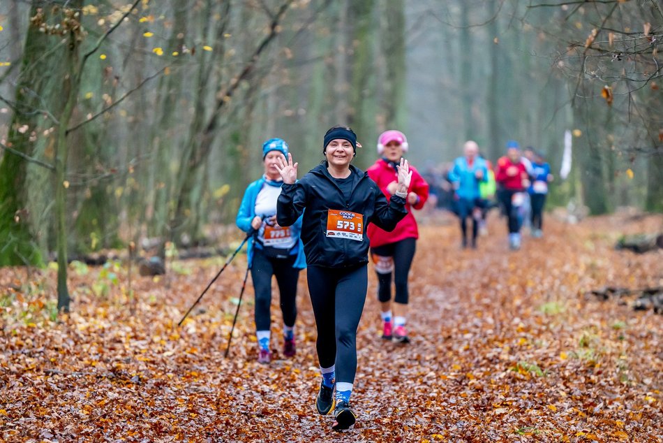 Cookie Run w Lesie Łagiewnickim w Łodzi