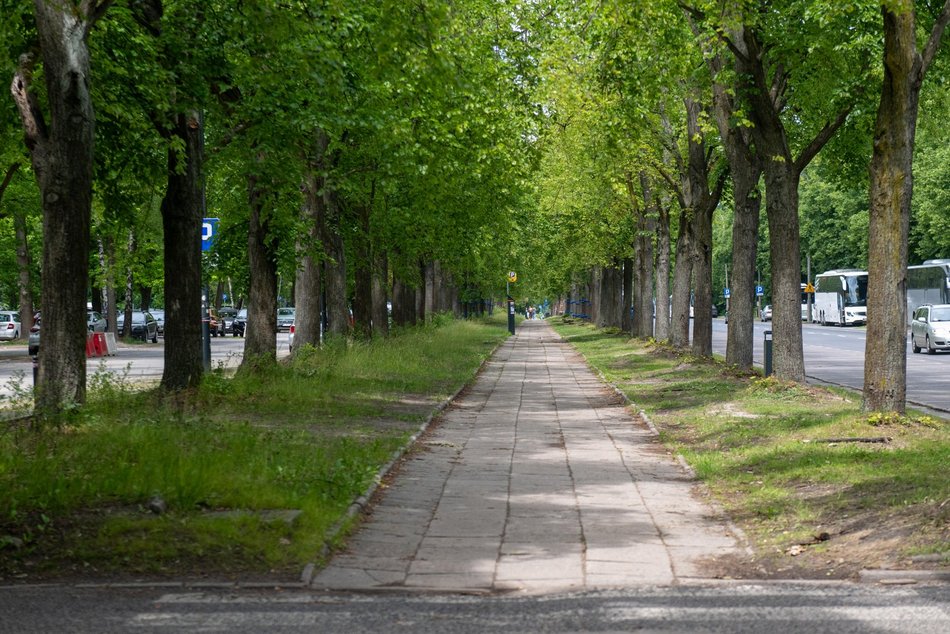 Łódź. Nowa droga rowerowa przy Unii Lubelskiej w Łodzi. Start prac już w wakacje!